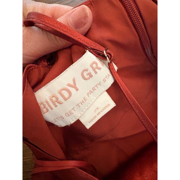 Birdy Grey Catherine Dress Shiny Satin Spice 2X - Picture 4 of 4